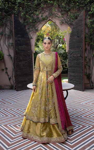 Celestial Gleam - Shop Now at Asifa and Nabeel