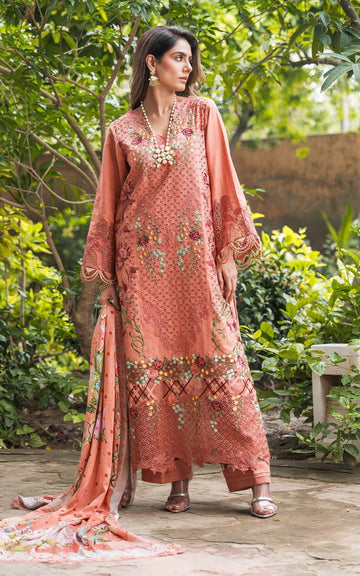 ASTOR WL-05 | Luxury Winter’24 - Shop Now at Asifa and Nabeel