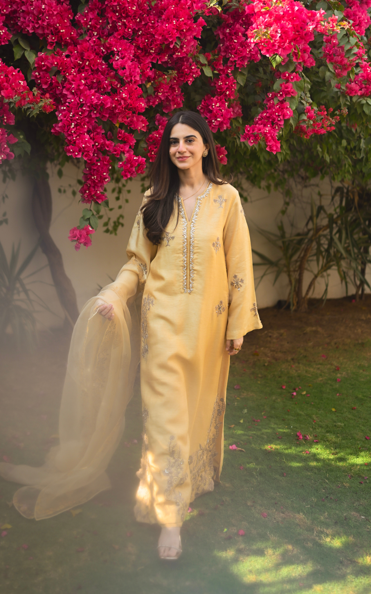 Gilded Primrose